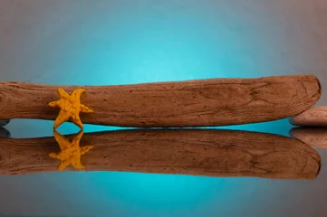 Foto op Plexiglas A wooden stick from the sea in the form of a pirate saber with a starfish of yellow color, all laid on a reflective surface on a turquoise background with a gradient. © isuhi