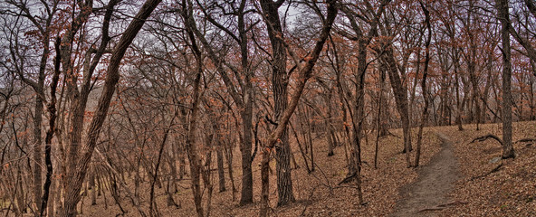 Newton Hills State Park is in South Dakota by Sioux Falls