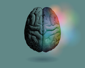 Right brain fuction present isolated on gray green BG
