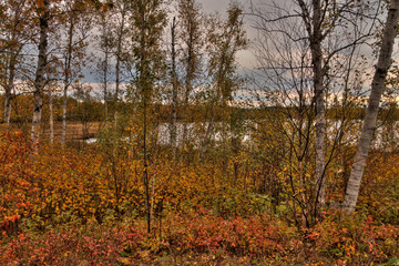 Ouimet canyon is a provincial Park in Northern Ontario by Thunder bay
