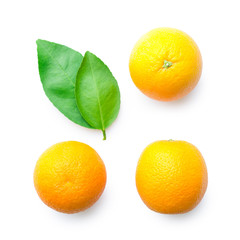 fresh orange isolated on white with green leaves in top view