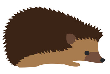 Vector Cute Hedgehog