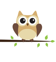 Fototapeta premium Vector Owl Bird