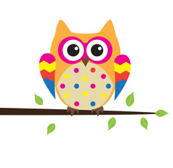 Vector Owl Bird