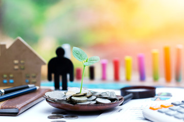 Invest your money to get income,growing business and future concept,Mixed media