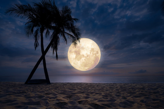 96,699 Best Tropical Night Images, Stock Photos & Vectors 