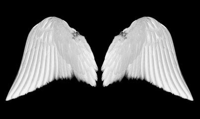 Fototapeta na wymiar White angel wings isolated on black background