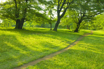 Obraz premium Park road