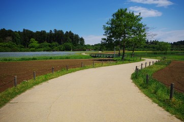 偕楽園公園の道