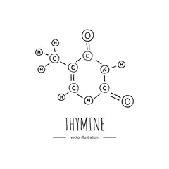 Hand drawn doodle Thymine chemical formula icon Vector illustration nitrogenous base symbol Cartoon sketch genome element DNA component on white background Carbon Atom Nitrogen Molecule Bond Oxygen