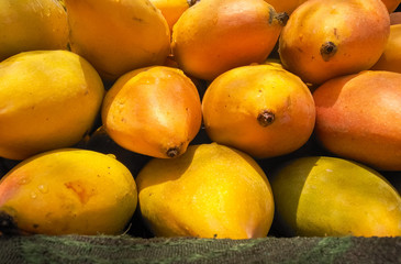 The king of summer .. MANGO