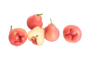 Syzygium on white background empty space (isolated on white and clipping path)