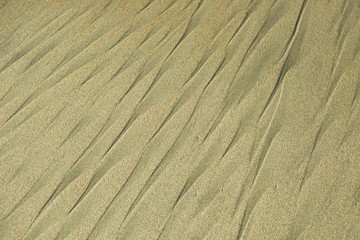 Fototapeta na wymiar sand texture close-up background