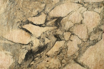 texture of marble surface