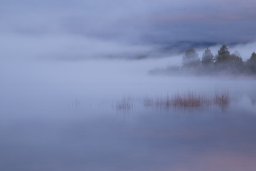 Obraz na płótnie Canvas Morning on the lake