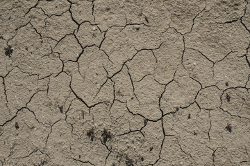 cracked earth