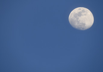 月と青い空（コピースペースあり）