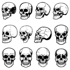 Set of human skull illustrations on white background. Design element for label, emblem, sign,logo, poster.