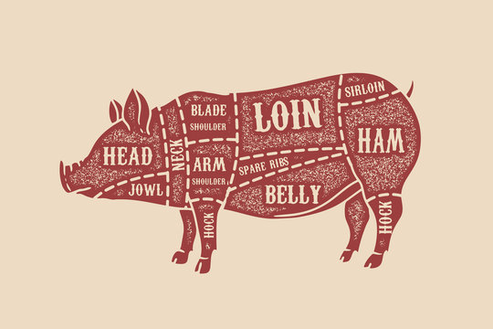 Pig Butcher Diagram. Pork Cuts. Design Element For Poster, Card,  Emblem, Badge.