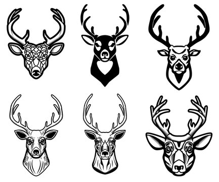 Set of deer head illustrations on white background. Design elements for poster, emblem, sign, badge.