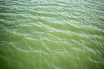 Texture of water surface. The polluted green water in canal. 