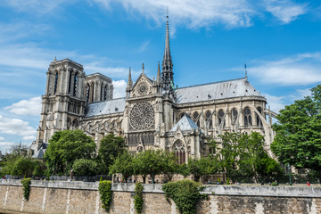 Fototapeta na wymiar Cathedral of Notre Dame in Paris and the Seine river