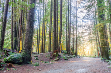 Obraz premium Towards the lights