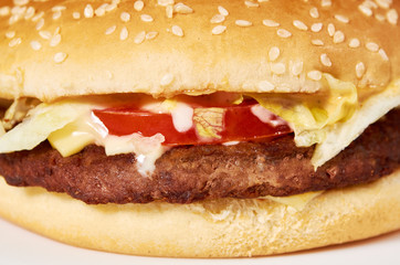 Fresh tasty burger with cheese background. Fast food Cheeseburger