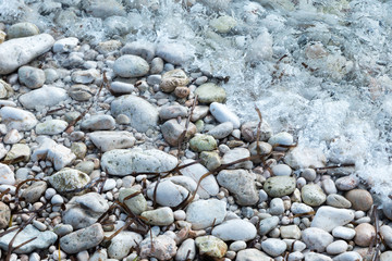 shore with stones