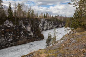 Fototapeta na wymiar Spring Karelian forest