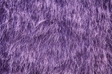 Ultra purple Dry straw grass background, hay texture after havest