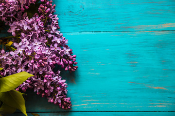 spring lilac on a wooden, turquoise background.