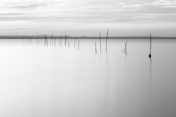 A minimalistic view of Trasimeno lake, with soft light and tones, fishing nets and poles and perfectly still water