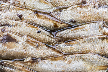 Closeup von Kieler Sprotten in einer Dose