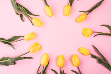 Flowers composition. Yellow tulip flowers on pink background. Flat lay, top view, copy space, square