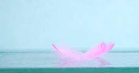 Extremely close up soft pink feather on blue background as the dreamy ,softness , fresh and romance concept , 4K Dci resolution