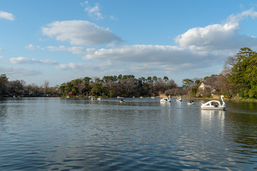 東京都大田区　春の洗足池の風景２