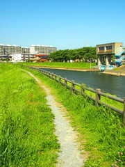 Fototapeta premium 春の放水路風景