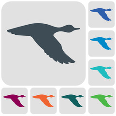 vector silhouette flying duck