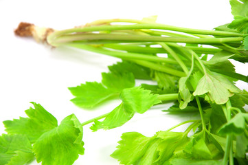 Celery light green, The aromatic vegetables and herbs commonly used in cooking.