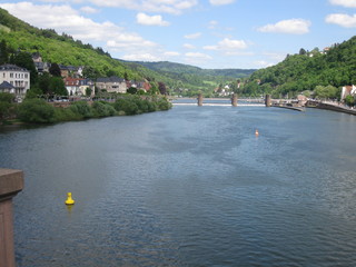 Neckartal in Heidelberg