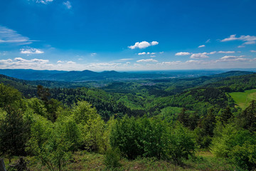 A nice view over black forest Germany in the summer with some clouds in the sky and green trees
