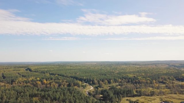 Colourful autumn colours in forest. Video. Top view of the Forest on a Sunny day