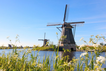Traditional dutch windmills near the canal in Kinderdijk