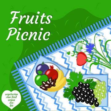 Fruity summer picnic party in the open air