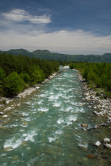 新緑期の高瀬川（蓮華大橋より東側）