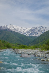 Fototapeta na wymiar 新緑期の白馬三山と松川の清流