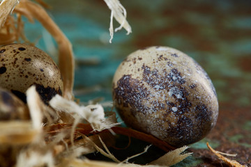 Conceptual still-life with quail eggs in hay nest over blue textured background, close up, selective focus