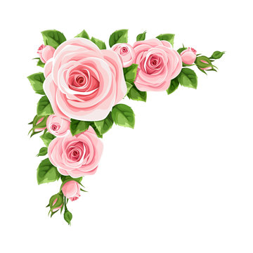 Pink Rose Corner Border Images – Browse 3,405 Stock Photos, Vectors, And  Video | Adobe Stock