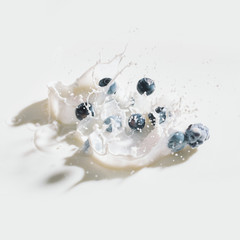 Blackberries and blueberries dropping in milk with splashes on white background